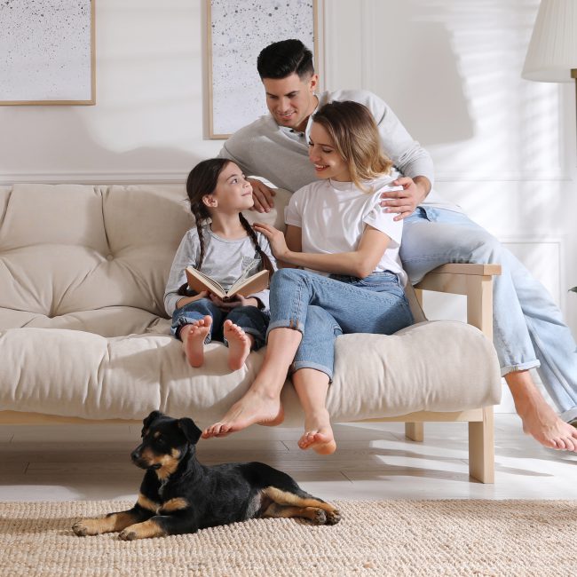 Income Protection & Life Insurance